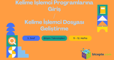 Kelime İşlemci Programlarına Giriş / Kelime İşlemci Dosyası Geliştirme
